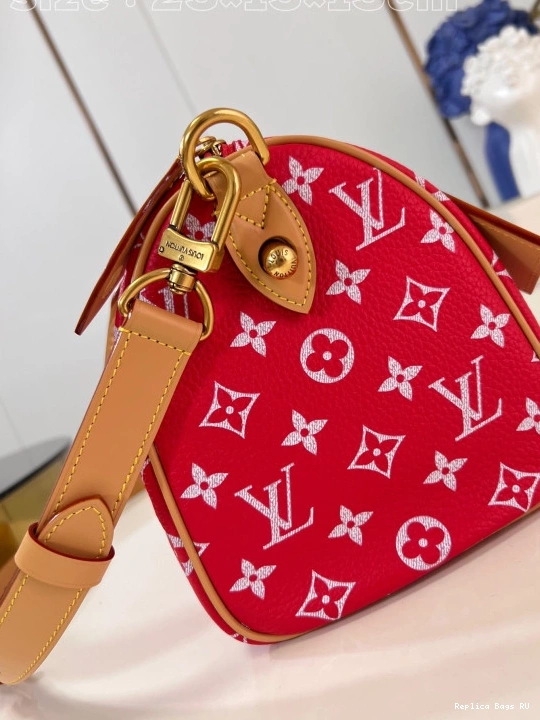 Cheap Louis SPEEDY 25 Vuitton 0808